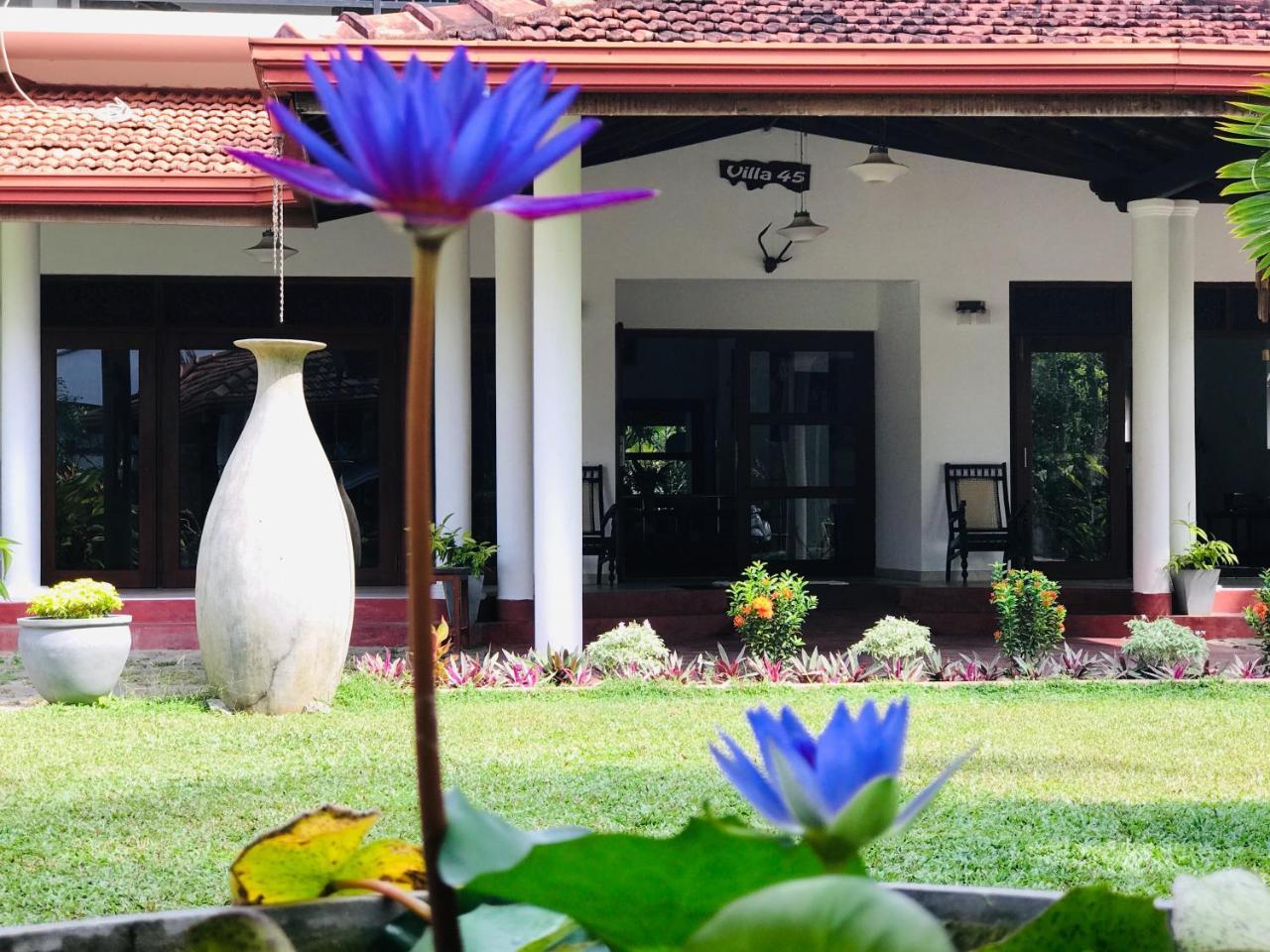 Villa 45 - บาลาปิตียา ภายนอก รูปภาพ